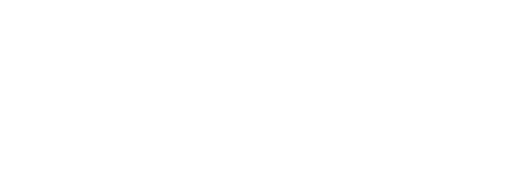 Zinzino I