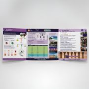 Formula For Success – Bundle